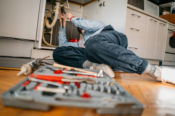 Best Clogged Drain Plumber  in Otsego, MN